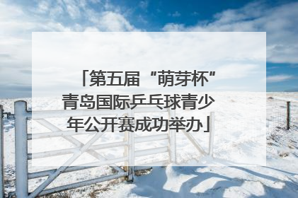 第五届“萌芽杯”青岛国际乒乓球青少年公开赛成功举办