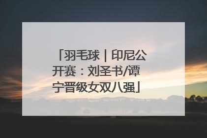 羽毛球｜印尼公开赛：刘圣书/谭宁晋级女双八强