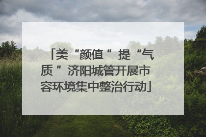 美“颜值 ”提“气质 ”济阳城管开展市容环境集中整治行动