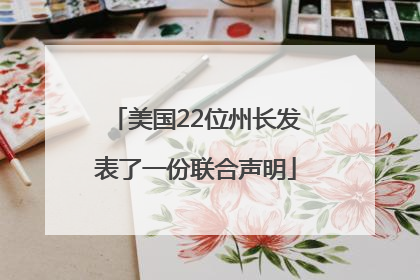 美国22位州长发表了一份联合声明