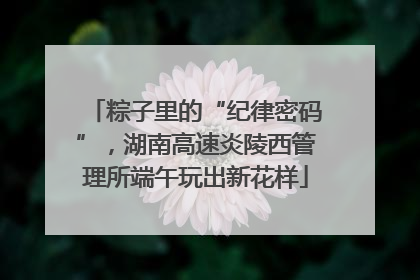 粽子里的“纪律密码”，湖南高速炎陵西管理所端午玩出新花样
