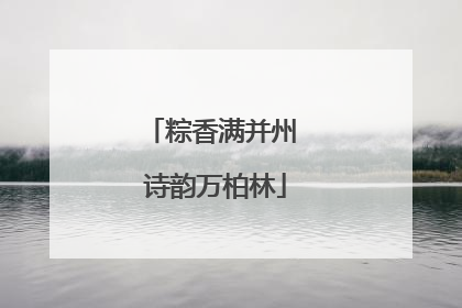 粽香满并州 诗韵万柏林