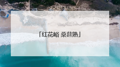 红花峪 桑葚熟