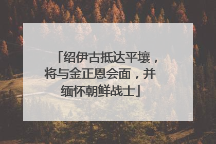 绍伊古抵达平壤，将与金正恩会面，并缅怀朝鲜战士