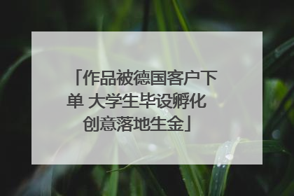 作品被德国客户下单 大学生毕设孵化创意落地生金