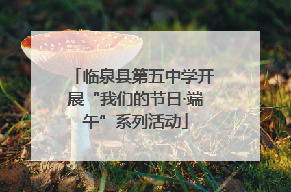 临泉县第五中学开展“我们的节日·端午”系列活动