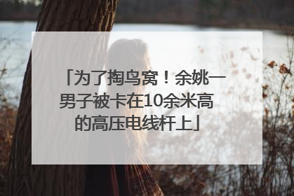为了掏鸟窝！余姚一男子被卡在10余米高的高压电线杆上