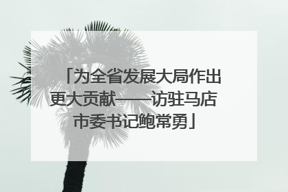 为全省发展大局作出更大贡献——访驻马店市委书记鲍常勇