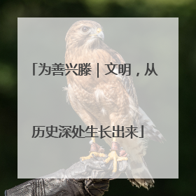 为善兴滕｜文明，从历史深处生长出来