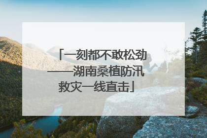 一刻都不敢松劲——湖南桑植防汛救灾一线直击