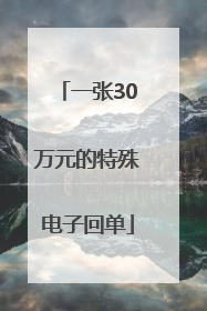 一张30万元的特殊电子回单