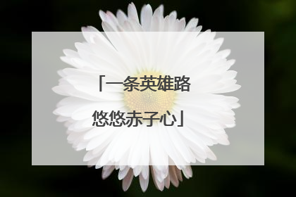 一条英雄路 悠悠赤子心