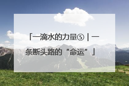 一滴水的力量⑤｜一条断头路的“命运”