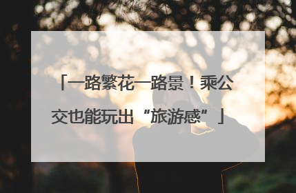 一路繁花一路景！乘公交也能玩出“旅游感”