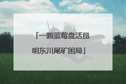 一颗蓝莓盘活昆明东川尾矿困局