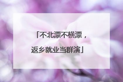 不北漂不横漂，返乡就业当群演
