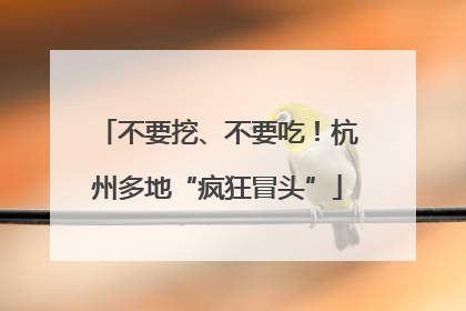 不要挖、不要吃！杭州多地“疯狂冒头”