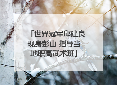 世界冠军邱建良现身彭山 指导当地职高武术班