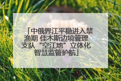 中俄界江平稳进入禁渔期 佳木斯边境管理支队“空江地”立体化智慧监管护航