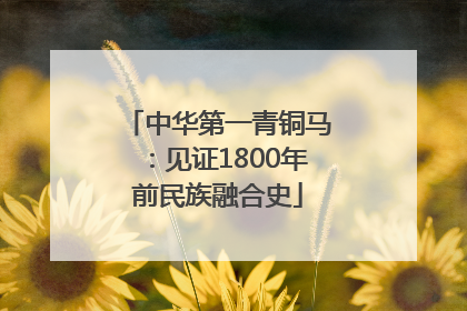 中华第一青铜马：见证1800年前民族融合史
