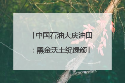 中国石油大庆油田：黑金沃土绽绿颜