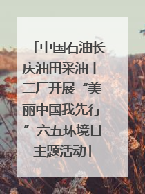 中国石油长庆油田采油十二厂开展“美丽中国我先行”六五环境日主题活动
