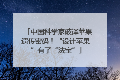 中国科学家破译苹果遗传密码！“设计苹果”有了“法宝”