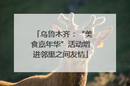 乌鲁木齐：“美食嘉年华”活动增进邻里之间友情