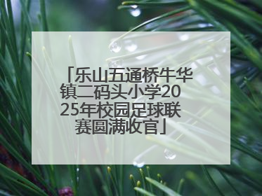 乐山五通桥牛华镇二码头小学2025年校园足球联赛圆满收官