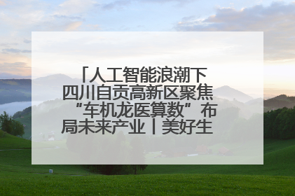 人工智能浪潮下 四川自贡高新区聚焦“车机龙医算数”布局未来产业丨美好生活有“盐”味