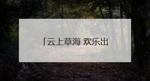 云上草海 欢乐出圈——有一种叫云南的生活之365天