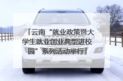 云南“就业政策暨大学生就业创业典型进校园”系列活动举行