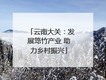 云南大关：发展筇竹产业 助力乡村振兴