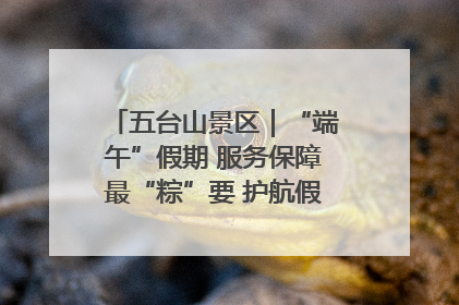 五台山景区｜“端午”假期 服务保障最“粽”要 护航假期“不打烊”