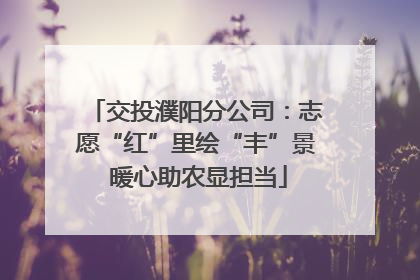 交投濮阳分公司：志愿“红”里绘“丰”景 暖心助农显担当