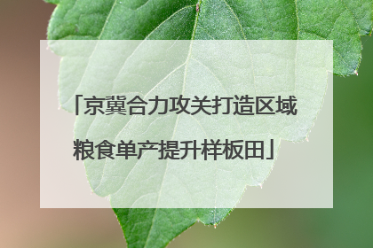 京冀合力攻关打造区域粮食单产提升样板田