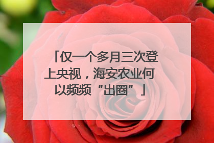 仅一个多月三次登上央视，海安农业何以频频“出圈”