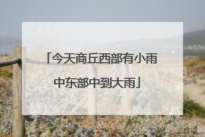 今天商丘西部有小雨 中东部中到大雨