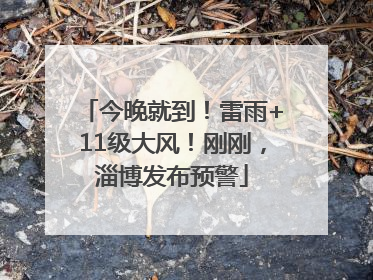 今晚就到！雷雨+11级大风！刚刚，淄博发布预警