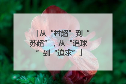 从“村超”到“苏超”，从“追球”到“追求”