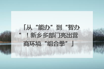 从“能办”到“智办”！新乡多部门亮出营商环境“组合拳”