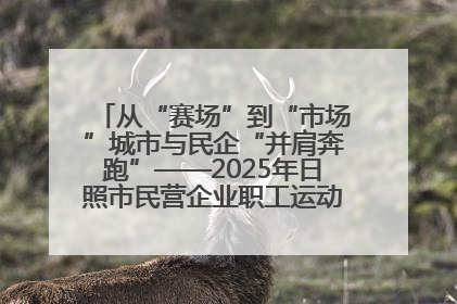 从“赛场”到“市场”城市与民企“并肩奔跑”——2025年日照市民营企业职工运动会亮点观察