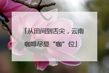 从田间到舌尖，云南咖啡尽显“咖”位
