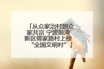 从众家治村到众家共富 宁波前湾新区傅家路村上榜“全国文明村”