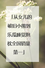 从女儿的破旧小熊到乐瓜睡觉抱枕全国销量第一