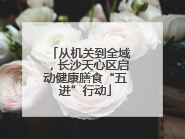 从机关到全域，长沙天心区启动健康膳食“五进”行动