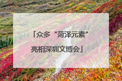 众多“菏泽元素”亮相深圳文博会