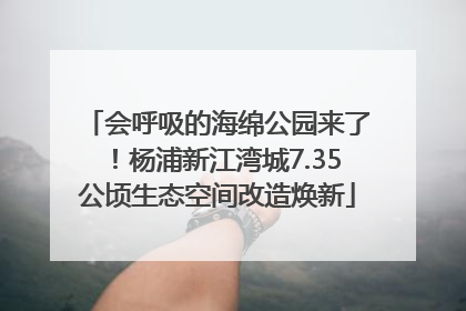 会呼吸的海绵公园来了！杨浦新江湾城7.35公顷生态空间改造焕新