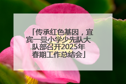传承红色基因，宜宾一曼小学少先队大队部召开2025年春期工作总结会
