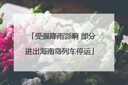 受强降雨影响 部分进出海南岛列车停运